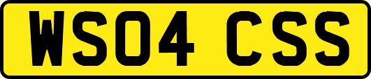 WS04CSS