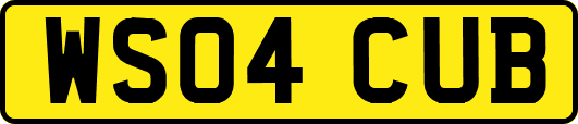 WS04CUB
