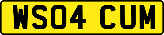 WS04CUM