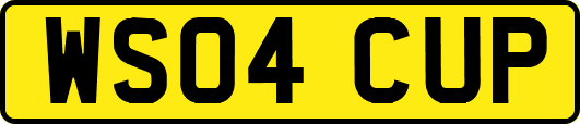 WS04CUP