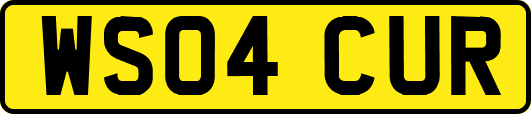 WS04CUR
