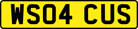 WS04CUS