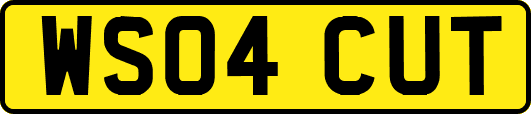 WS04CUT