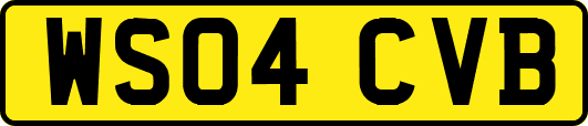 WS04CVB