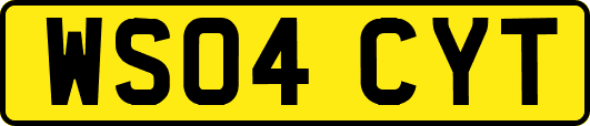 WS04CYT