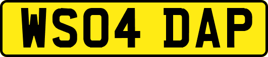 WS04DAP