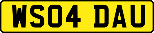 WS04DAU