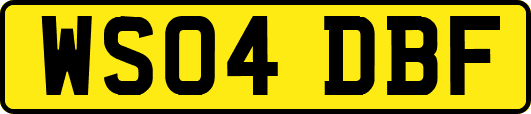 WS04DBF