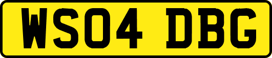 WS04DBG