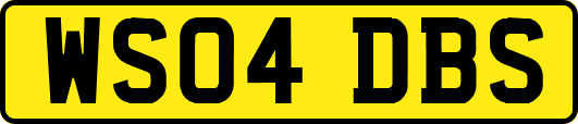 WS04DBS