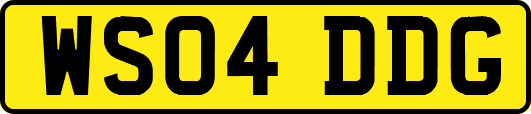 WS04DDG