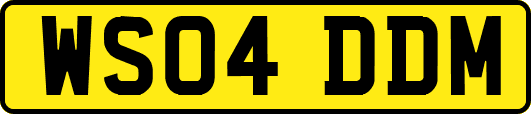 WS04DDM