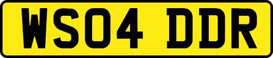 WS04DDR