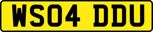 WS04DDU