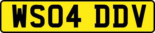 WS04DDV