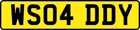 WS04DDY