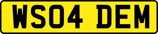 WS04DEM