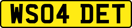WS04DET
