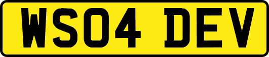 WS04DEV