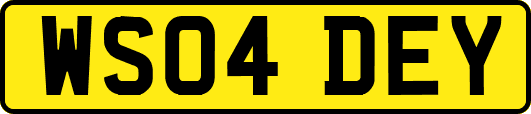 WS04DEY