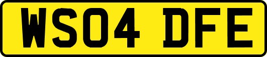 WS04DFE