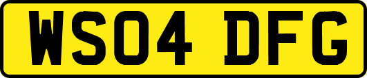 WS04DFG