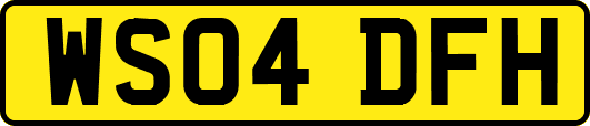 WS04DFH