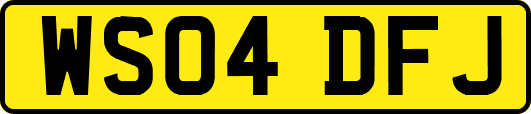 WS04DFJ