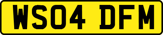 WS04DFM