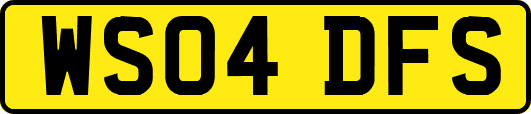 WS04DFS