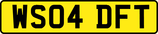 WS04DFT