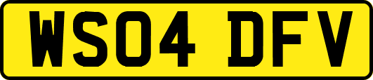 WS04DFV