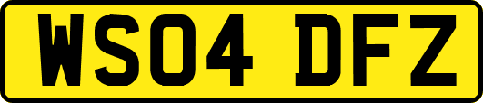 WS04DFZ