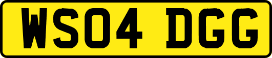 WS04DGG
