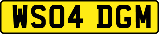 WS04DGM