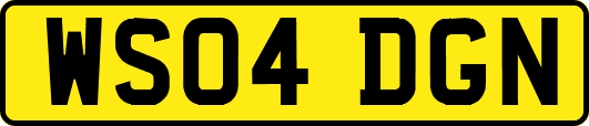 WS04DGN