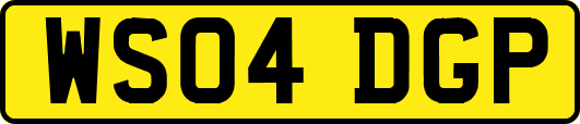 WS04DGP
