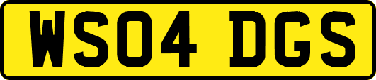WS04DGS