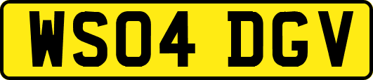 WS04DGV