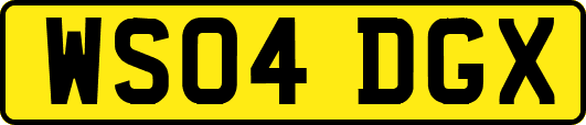 WS04DGX