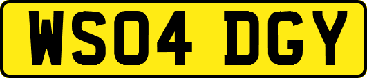 WS04DGY
