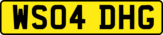 WS04DHG
