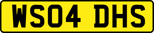 WS04DHS