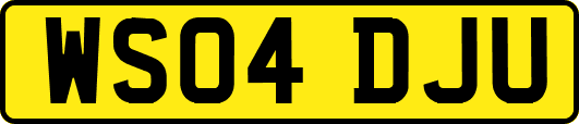 WS04DJU