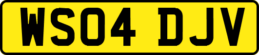 WS04DJV