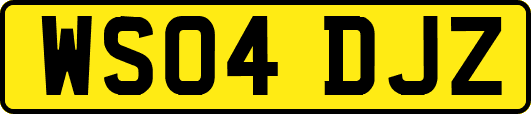 WS04DJZ