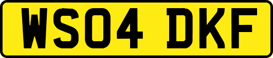 WS04DKF