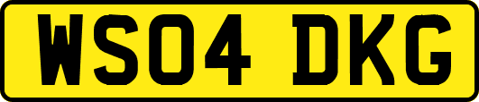 WS04DKG