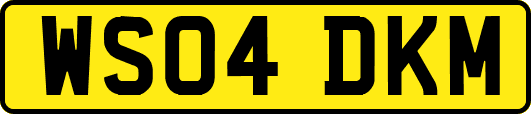 WS04DKM