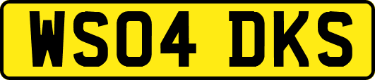 WS04DKS